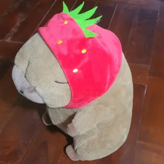 Peluche Capibara Kawaii con Sombrero de Fresa — Mediano